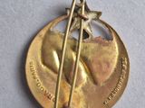 a gold medal with a star and a pin on it