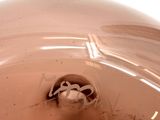 a picture of a toilet bowl with a toilet paper roll in it