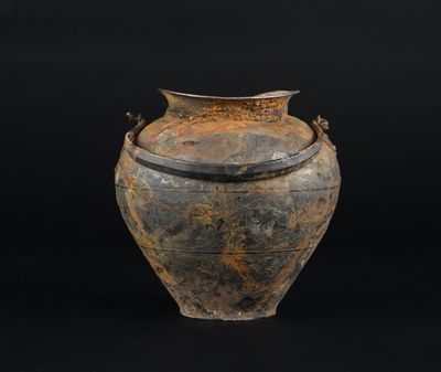 une image représentant un vase sur fond noir