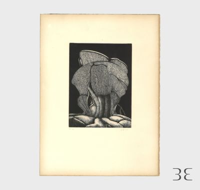 une photo d'un dessin représentant un éléphant sur une feuille de papier