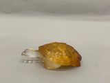 un petit escargot en verre posé sur une table
