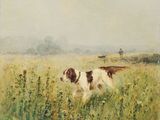 un tableau représentant un chien courant dans un champ d'herbes hautes