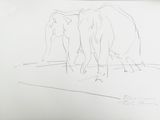 dessin représentant deux éléphants marchant en file indienne sur une feuille blanche
