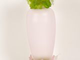 a white vase with a green flower on top of it