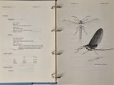 an open book with a drawing of a dragonfly and a diagram of a dragonfly