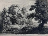 an old black and white drawing of a wooded area with trees and rocks