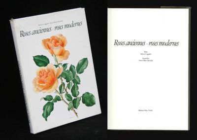 S. Coggiatti & A.M. Trechslin, Roses anciennes roses moderne…