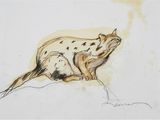 drawing of a cat sitting on the ground with its head turned to look like it is laying down