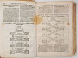 an open book with a diagram of a tree in it