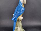 a blue and yellow parrot sitting on top of a tree stump