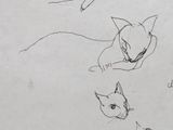 three drawings of a cat laying down on the ground