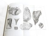 an open book with drawings of different types of animals
