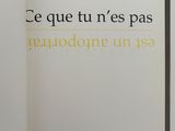 Photo 2/5 du lot