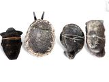 several different types of masks are displayed on a white surface
