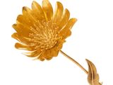 une fleur jaune qui se trouve sur la tige d'une tige