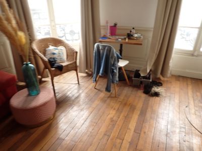 un chat assis par terre dans le salon