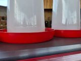 three plastic containers sitting on top of a stove