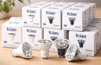 plusieurs types d'ampoules posées sur une table à côté d'une plante