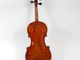 an old violin on a white background