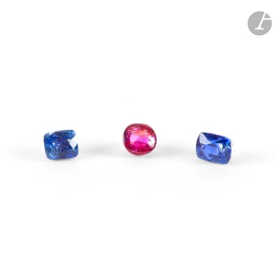 a pair of blue and pink sapphires on a white background