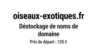 Nom de domaine oiseaux-exotiques.