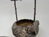 a bird sitting on top of a bird feeder next to a bowl