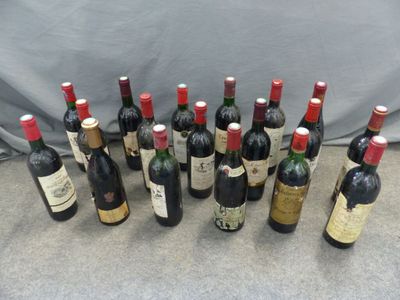 beaucoup de bouteilles de vin posées par terre