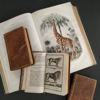 a book with a picture of a giraffe on it and a book with a picture of a giraffe on it
