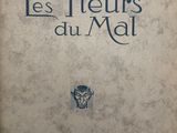 Photo 4/4 du lot