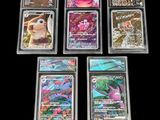 six cartes Pokémon différentes, rangées dans des pochettes en plastique, posées sur une surface noire