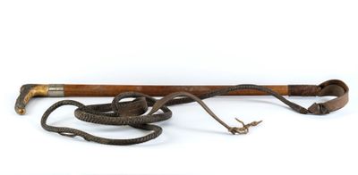 une vieille batte de baseball et un serpent sur fond blanc