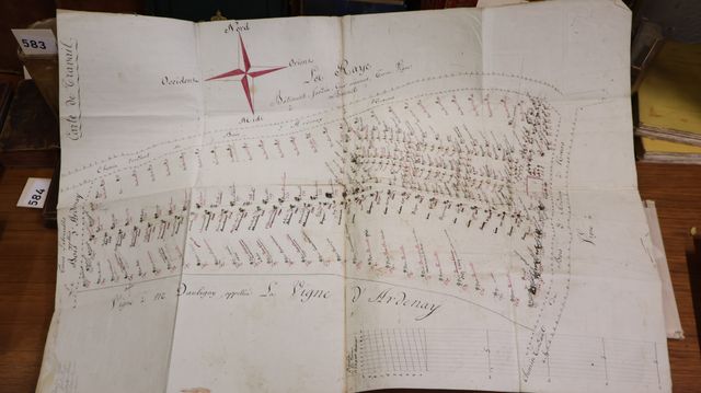 Carte de travail de la vigne à Mr DAUBIGNY, appellées La VIGNE d’...