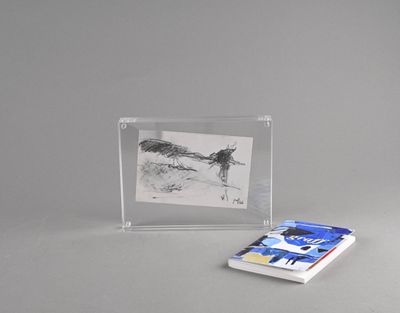 une photo d'une photo d'un oiseau dans un cadre photo