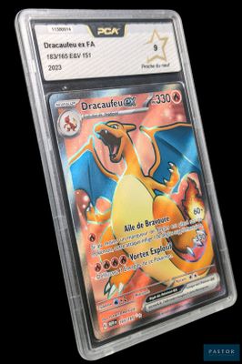 un gros plan d'une carte Pokémon dans un étui en plastique transparent