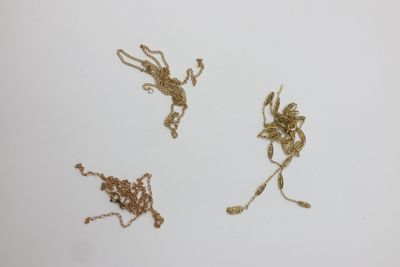 trois petites fleurs dorées sur une surface blanche, sur fond blanc