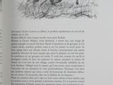 Photo 4/6 du lot