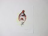 a picture of a bird that is sitting on a table