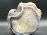 a picture of a piece of agate on a table