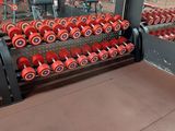 rows of red dumbs sit in a gym with rows of machines
