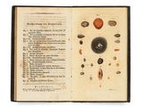 un livre ouvert sur lequel sont disposés divers types de coquillages