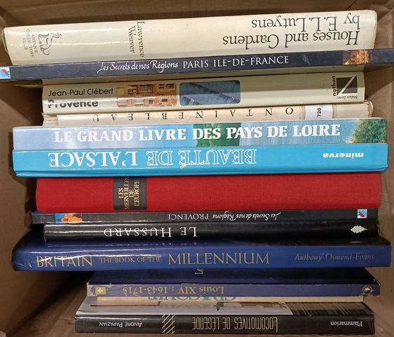 Lot de livres illustrés (art, voyages)