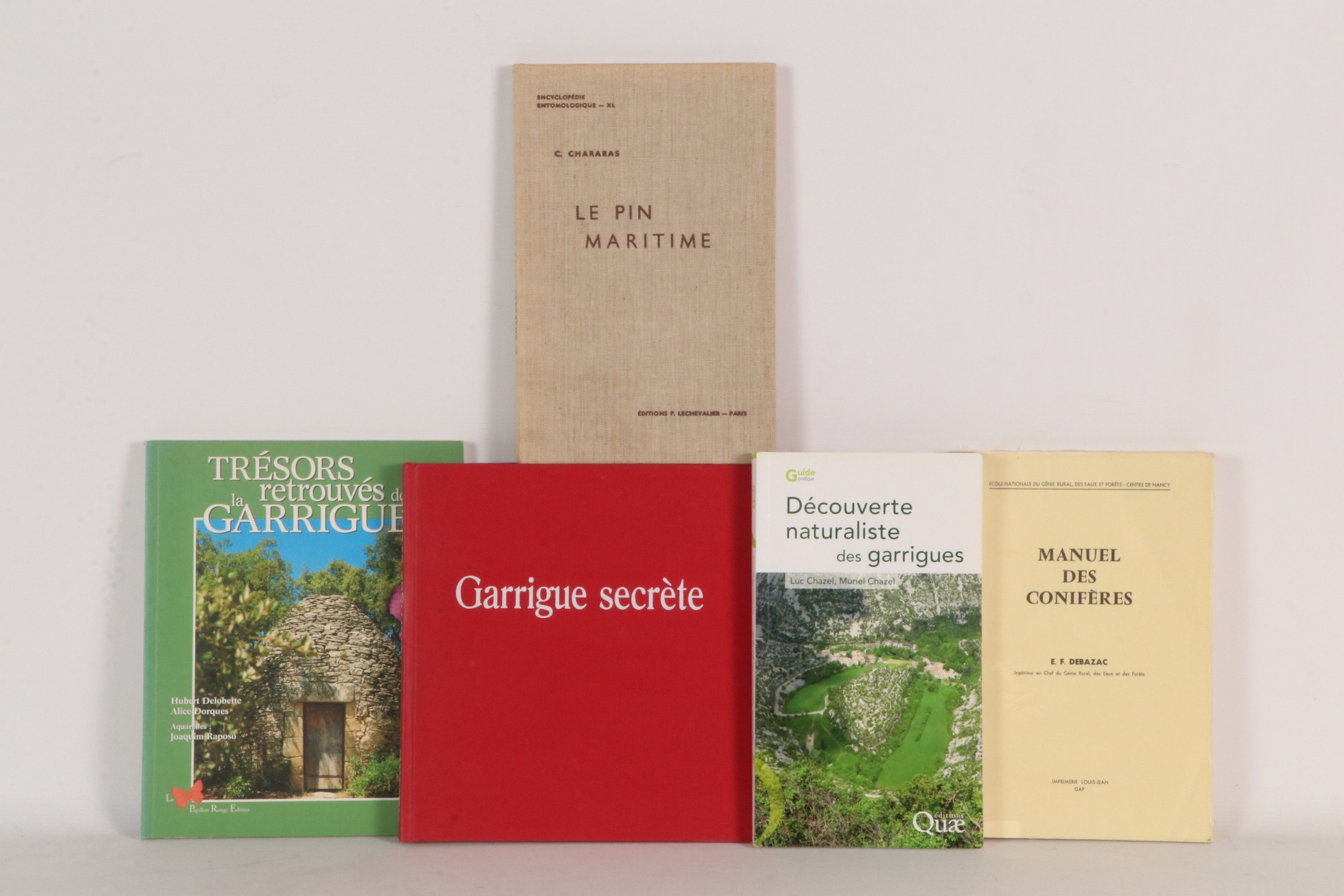 [BOTANIQUE] Réunion de 5 ouvrages : - LORNE P.