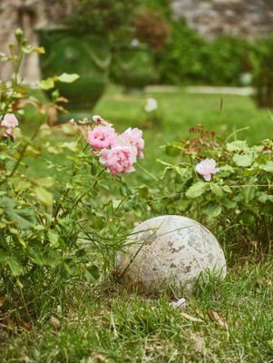 un chat assis dans l'herbe près de quelques fleurs