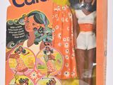 une poupée dans une boîte sur laquelle figure l'image d'une femme en maillot de bain