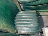 a green seat in the back of a green car