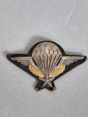 une image représentant un insigne sur lequel figure un parachute