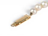 pearl necklace with a gold clasp on a white background