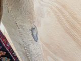 a cat that is standing on a rug near a wall
