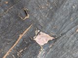 a close up of a piece of wood that has been stripped