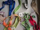 many different types of dog leashes on a table